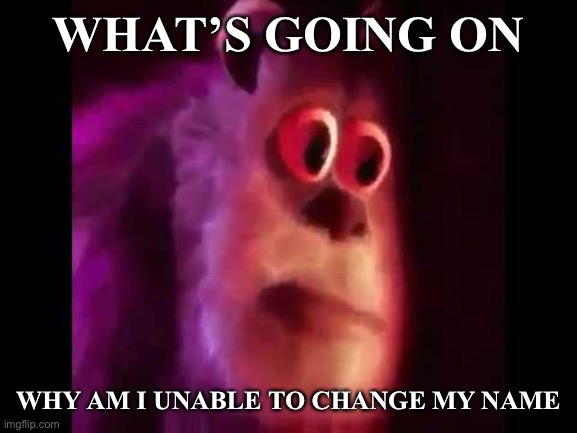 It’s been a month ? | WHAT’S GOING ON; WHY AM I UNABLE TO CHANGE MY NAME | image tagged in sully groan,balls,wtf | made w/ Imgflip meme maker
