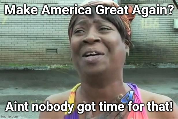Sweet Brown | Make America Great Again? Aint nobody got time for that! | image tagged in sweet brown | made w/ Imgflip meme maker