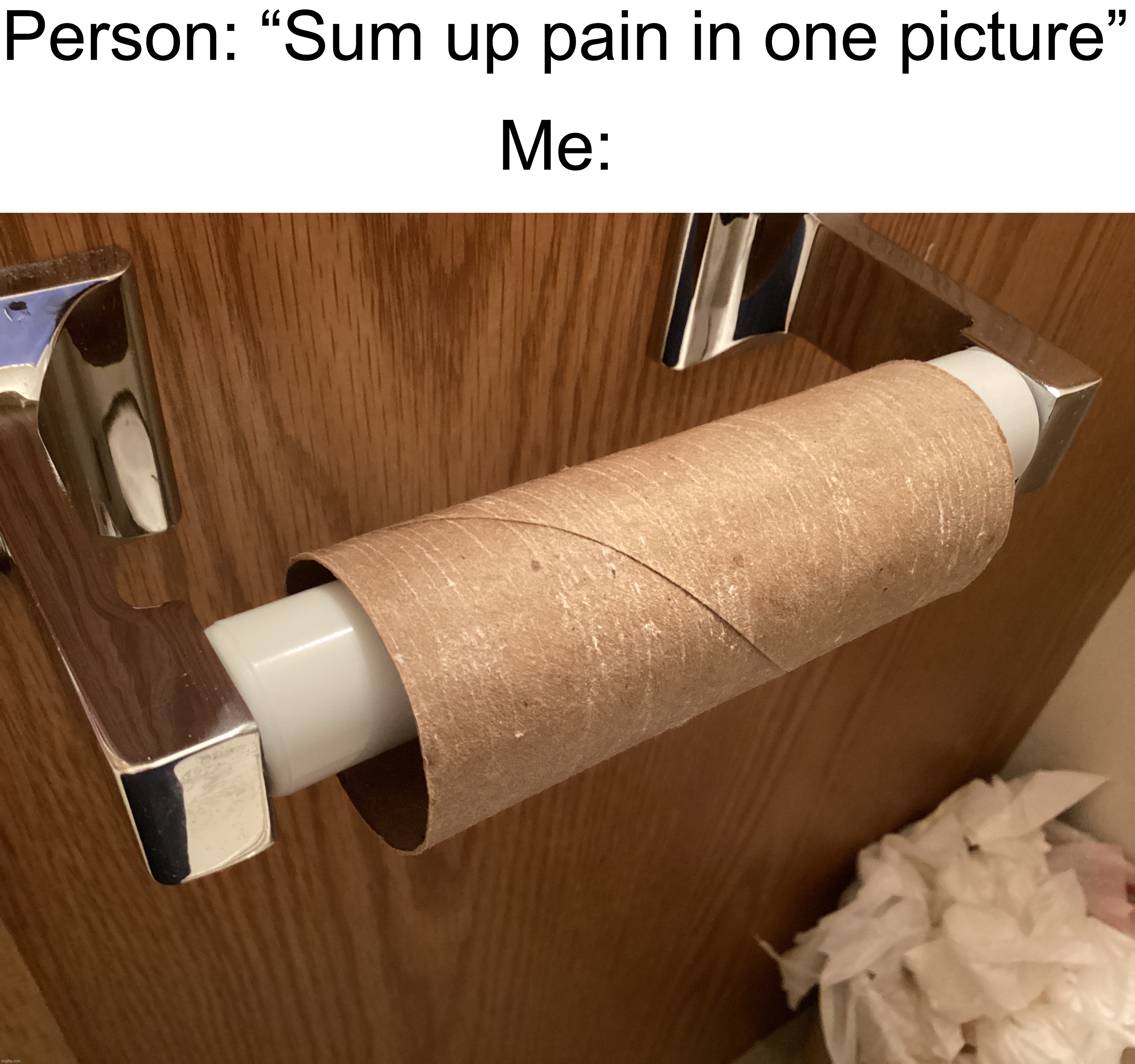 True pain, 97.10% of people can relate | Person: “Sum up pain in one picture”; Me: | image tagged in memes,funny,true story,relatable memes,painful,toilet paper | made w/ Imgflip meme maker