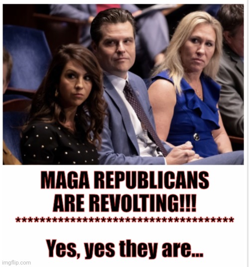 Revolting | image tagged in maga,deplorables | made w/ Imgflip meme maker