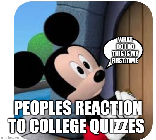 First time in college AKA a freshman in college | WHAT DO I DO THIS IS MY FIRST TIME; PEOPLES REACTION TO COLLEGE QUIZZES | image tagged in funny memes | made w/ Imgflip meme maker