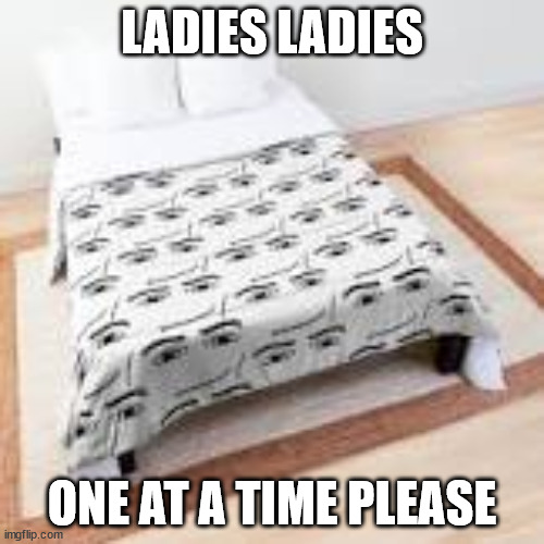 LADIES LADIES; ONE AT A TIME PLEASE | made w/ Imgflip meme maker