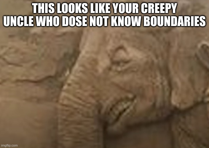 creepy eplaphant | THIS LOOKS LIKE YOUR CREEPY UNCLE WHO DOSE NOT KNOW BOUNDARIES | image tagged in emkay | made w/ Imgflip meme maker