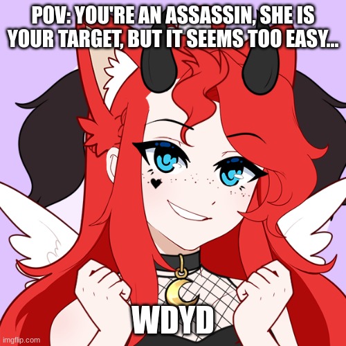 No ERP, Fighting RP preferred | POV: YOU'RE AN ASSASSIN, SHE IS YOUR TARGET, BUT IT SEEMS TOO EASY... WDYD | made w/ Imgflip meme maker