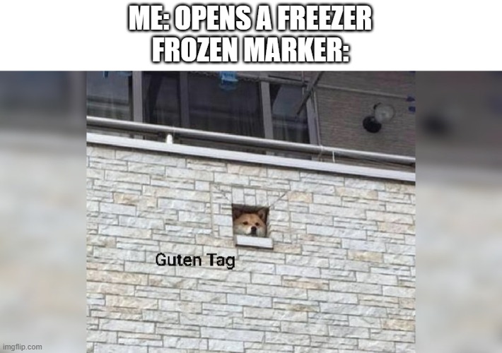 Guten Tag | ME: OPENS A FREEZER
FROZEN MARKER: | image tagged in guten tag,find the markers | made w/ Imgflip meme maker