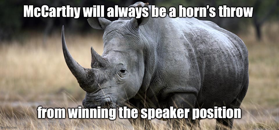 rhino | McCarthy will always be a horn’s throw from winning the speaker position | image tagged in rhino | made w/ Imgflip meme maker