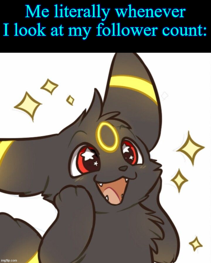 Cute Umbreon | Me literally whenever I look at my follower count: | image tagged in cute umbreon | made w/ Imgflip meme maker