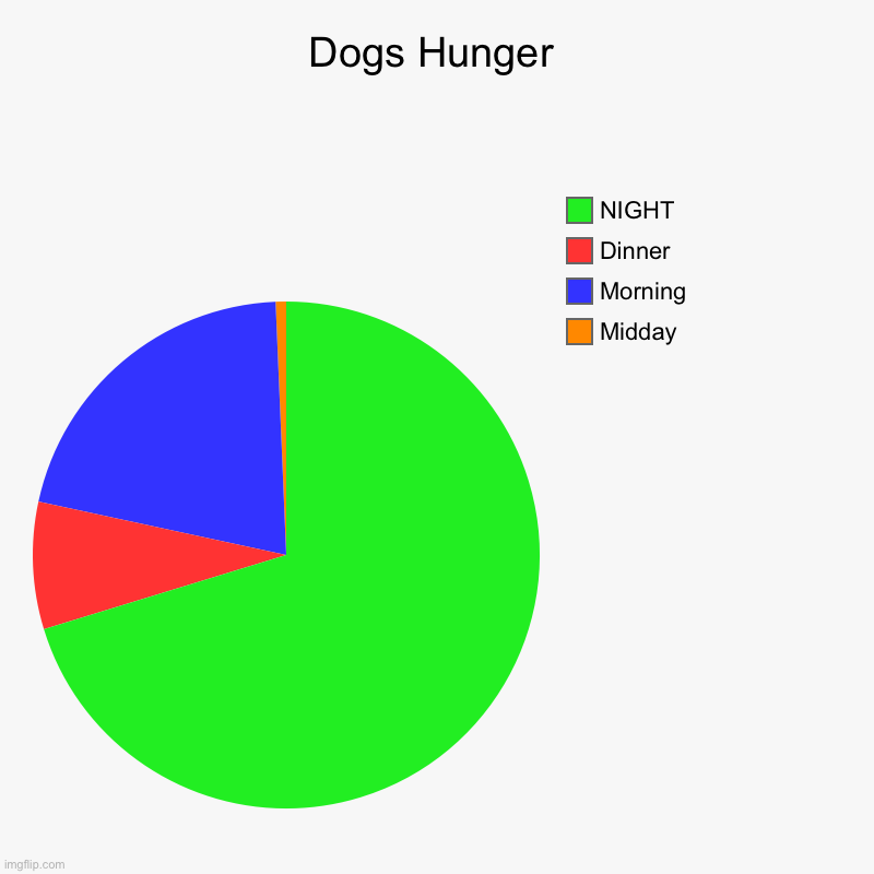 My dog is always hungry at night | Dogs Hunger | Midday, Morning, Dinner, NIGHT | image tagged in charts,pie charts,food,hunger,dogs,hassle | made w/ Imgflip chart maker