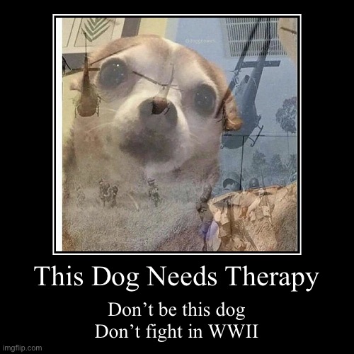 Uhm…..help him? | image tagged in funny,demotivationals,ptsd chihuahua,chihuahua,poster,cool | made w/ Imgflip demotivational maker