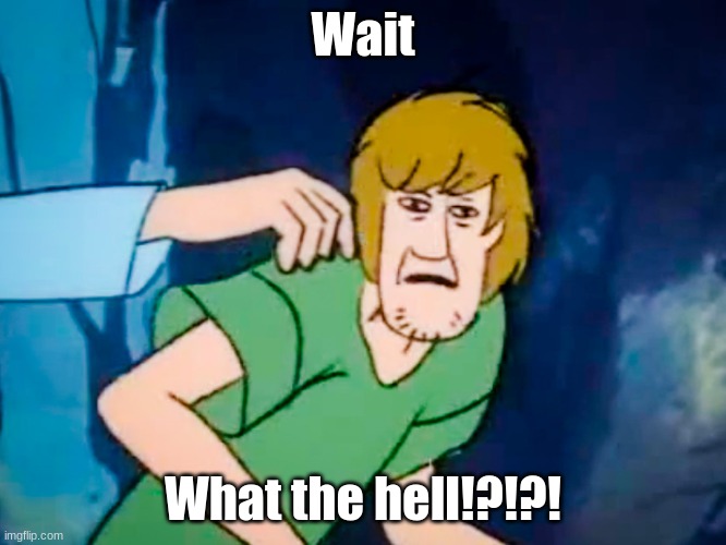 Shaggy meme | Wait What the hell!?!?! | image tagged in shaggy meme | made w/ Imgflip meme maker
