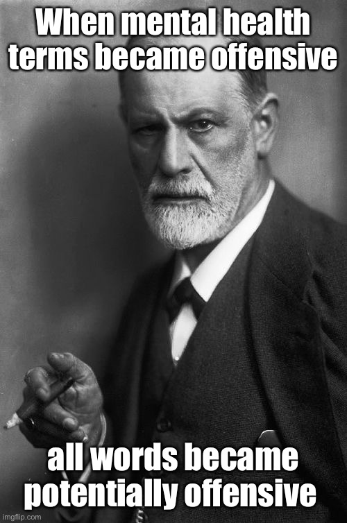 Sigmund Freud Meme | When mental health terms became offensive all words became potentially offensive | image tagged in memes,sigmund freud | made w/ Imgflip meme maker