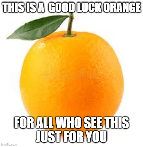 The Good Luck Orange | THIS IS A  GOOD LUCK ORANGE; FOR ALL WHO SEE THIS
JUST FOR YOU | image tagged in lol so funny | made w/ Imgflip meme maker