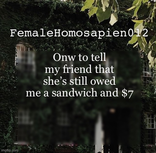 FemaleHomosapien012 | Onw to tell my friend that she’s still owed me a sandwich and $7 | image tagged in femalehomosapien012 | made w/ Imgflip meme maker