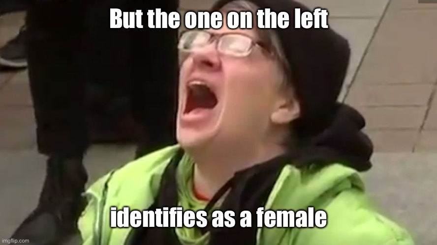 Screaming Liberal  | But the one on the left identifies as a female | image tagged in screaming liberal | made w/ Imgflip meme maker