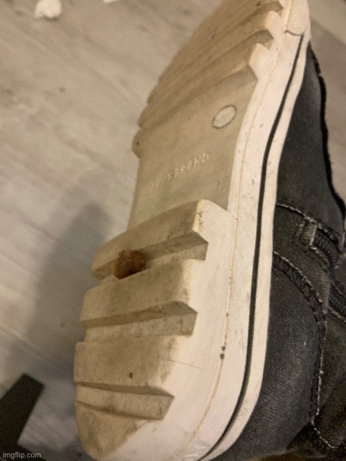 bru why tf is this in my shoe | made w/ Imgflip meme maker