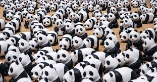 Panda Army Blank Meme Template