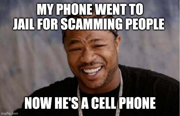 Yo Dawg Heard You Meme | MY PHONE WENT TO JAIL FOR SCAMMING PEOPLE; NOW HE'S A CELL PHONE | image tagged in memes,yo dawg heard you | made w/ Imgflip meme maker