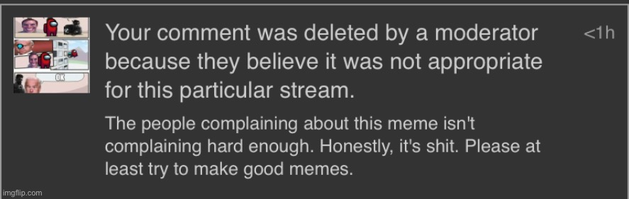 not me deleting my own comment because someone flagged it even though it was a year ago | made w/ Imgflip meme maker