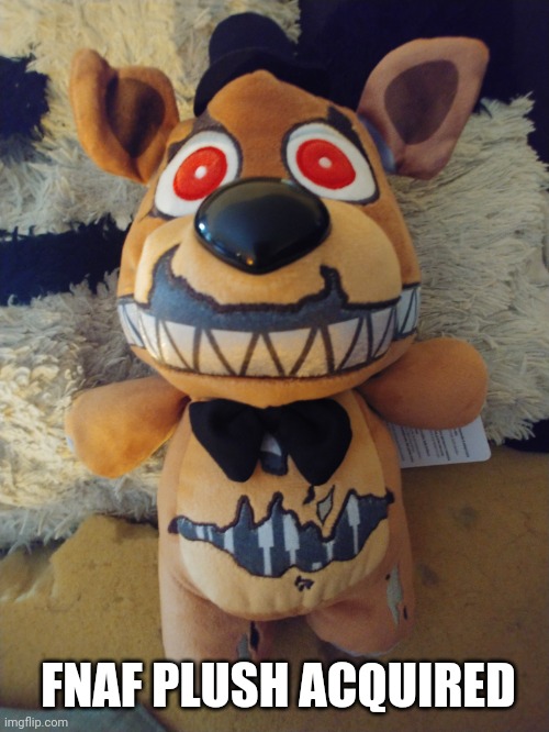 I DID IT, BOYS GIRLS AND ALL OTHERS | FNAF PLUSH ACQUIRED | image tagged in plush acquired | made w/ Imgflip meme maker