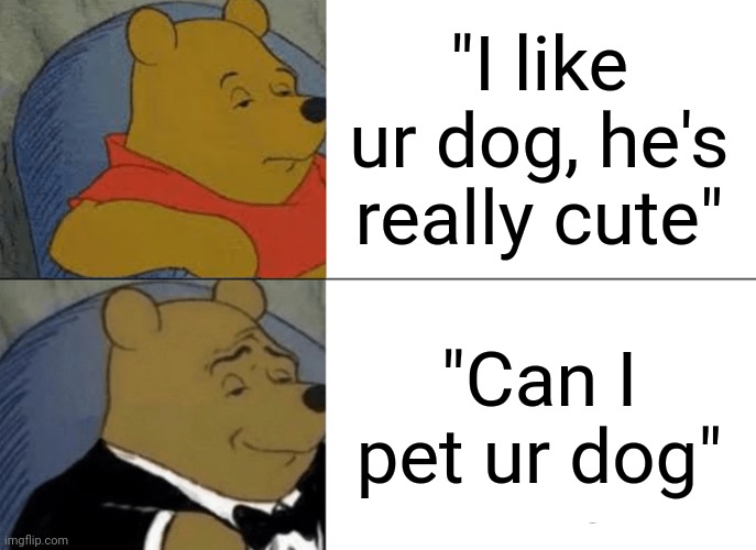 Tuxedo Winnie The Pooh Meme | "I like ur dog, he's really cute"; "Can I pet ur dog" | image tagged in memes,tuxedo winnie the pooh | made w/ Imgflip meme maker