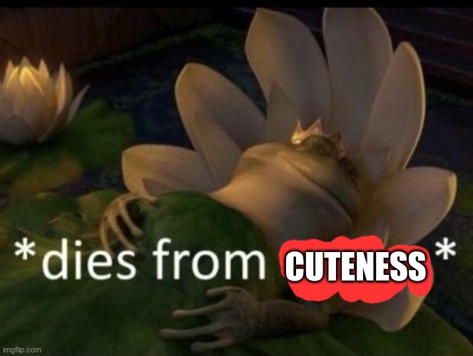 Dies from cringe | CUTENESS | image tagged in dies from cringe | made w/ Imgflip meme maker