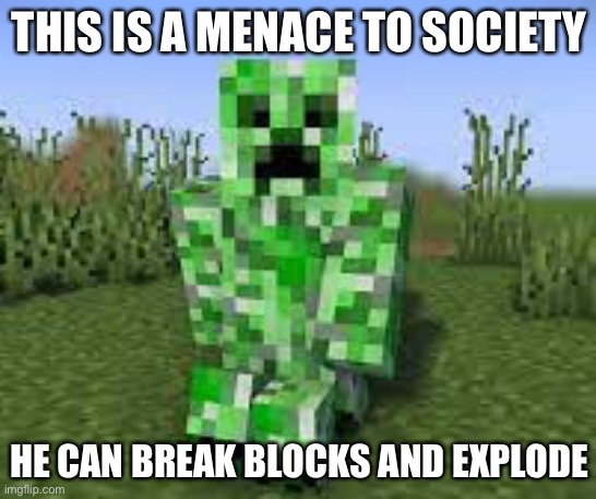 THIS IS A MENACE TO SOCIETY; HE CAN BREAK BLOCKS AND EXPLODE | made w/ Imgflip meme maker