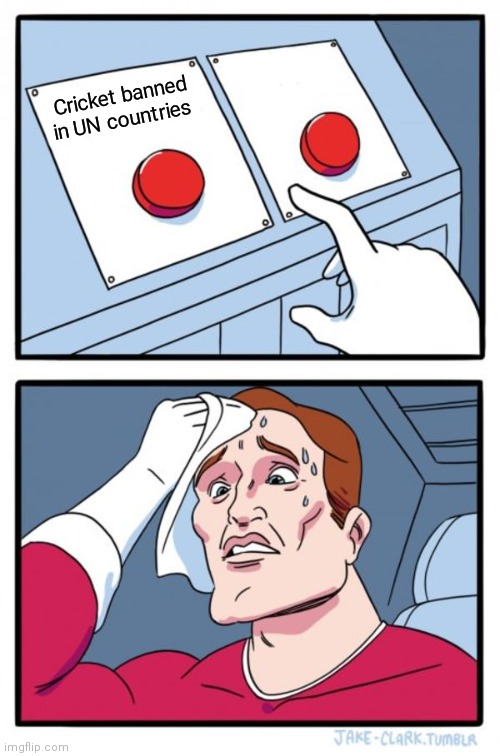 Two Buttons | Cricket banned in UN countries | image tagged in memes,two buttons | made w/ Imgflip meme maker