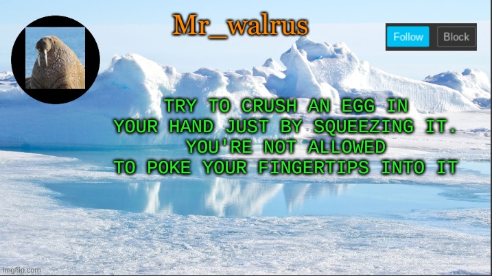 you can't | TRY TO CRUSH AN EGG IN YOUR HAND JUST BY SQUEEZING IT.
YOU'RE NOT ALLOWED TO POKE YOUR FINGERTIPS INTO IT | image tagged in mr_walrus | made w/ Imgflip meme maker