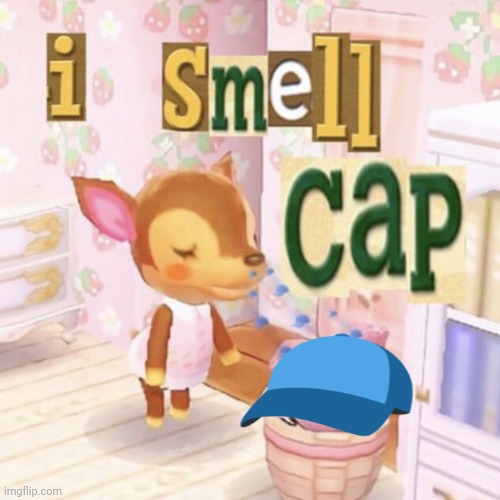 I smell cap | image tagged in i smell cap | made w/ Imgflip meme maker