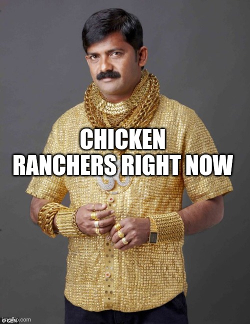 Chicken guys right now be like... | CHICKEN RANCHERS RIGHT NOW | image tagged in wealth,eggs | made w/ Imgflip meme maker