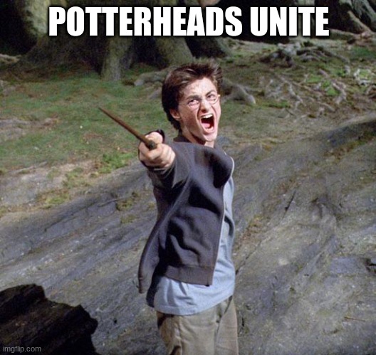 Harry potter | POTTERHEADS UNITE | image tagged in harry potter | made w/ Imgflip meme maker