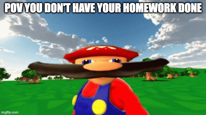 I HATE SCHOOL | POV YOU DON'T HAVE YOUR HOMEWORK DONE | image tagged in mario,spaghetti | made w/ Imgflip meme maker