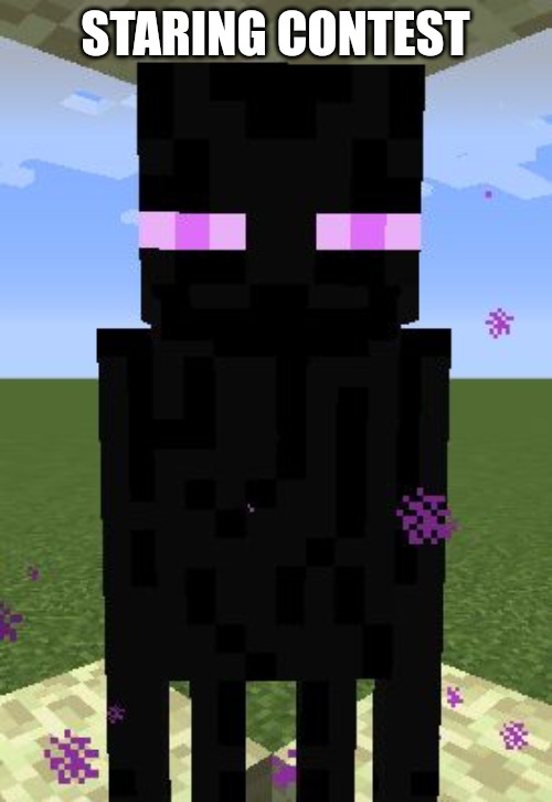 Enderman | STARING CONTEST | image tagged in enderman | made w/ Imgflip meme maker
