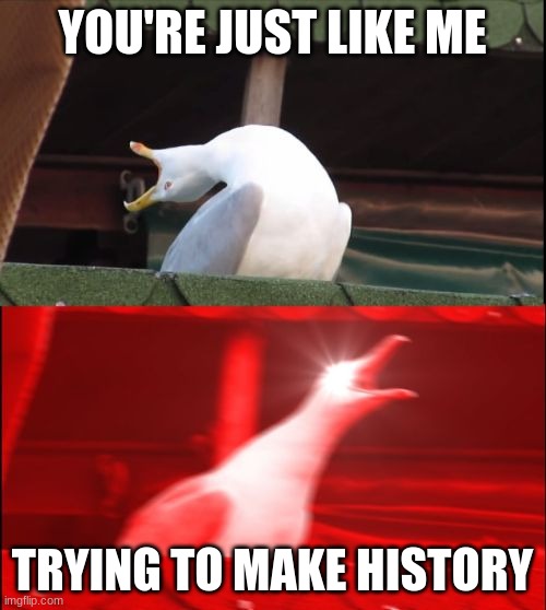 screaming seagull | YOU'RE JUST LIKE ME TRYING TO MAKE HISTORY | image tagged in screaming seagull | made w/ Imgflip meme maker
