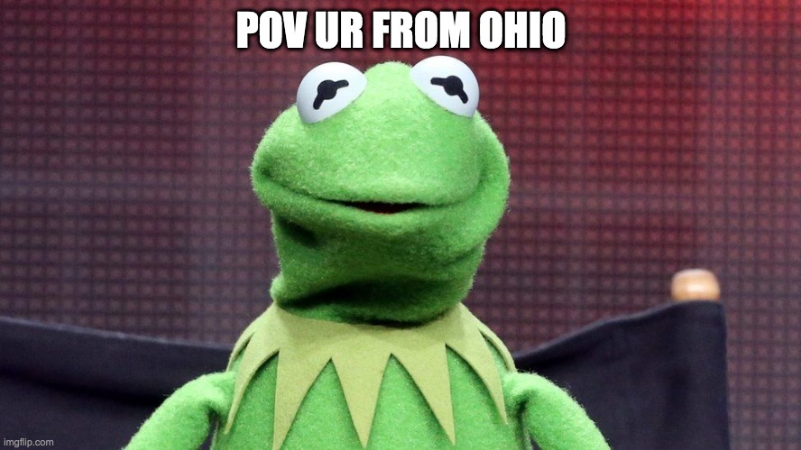 OHIO | POV UR FROM OHIO | image tagged in swag,kermit the frog | made w/ Imgflip meme maker