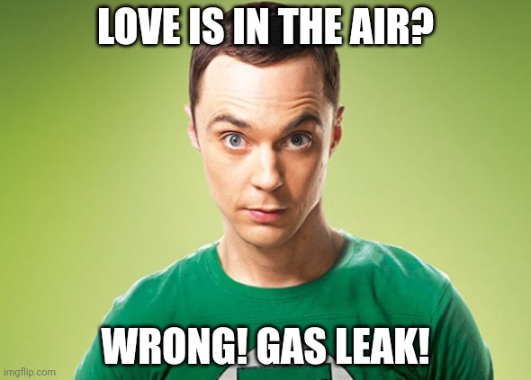 Sheldon Cooper | LOVE IS IN THE AIR? WRONG! GAS LEAK! | image tagged in sheldon cooper | made w/ Imgflip meme maker