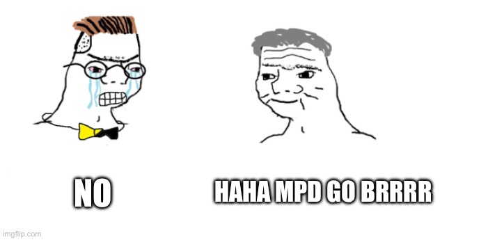 Multiple Personality Disorder | NO HAHA MPD GO BRRRR | image tagged in nooo haha go brrr | made w/ Imgflip meme maker