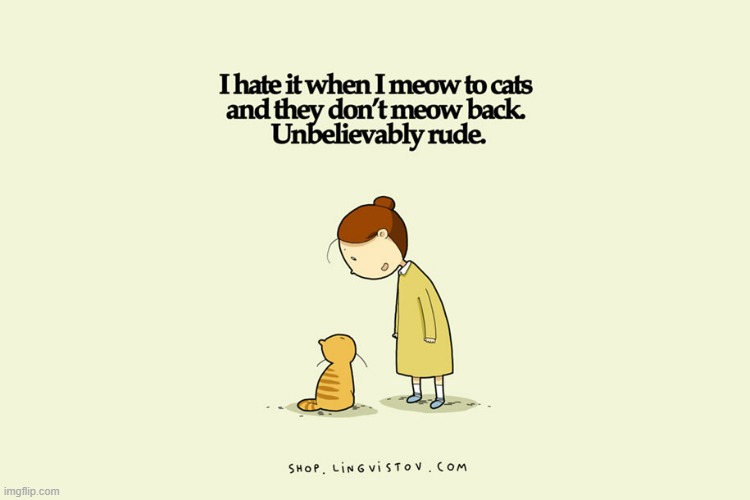 A Cat Lady's Way Of Thinking | image tagged in memes,comics,cats,how rude,no,meow | made w/ Imgflip meme maker