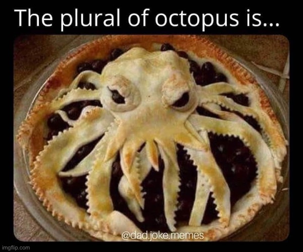 Octopi | image tagged in octopus,octopi,pie,pi | made w/ Imgflip meme maker