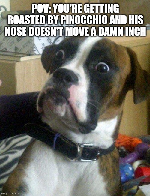 Uhhh... | POV: YOU'RE GETTING ROASTED BY PINOCCHIO AND HIS NOSE DOESN'T MOVE A DAMN INCH | image tagged in blankie the shocked dog,dog,funny,memes,pinnochio,roasting | made w/ Imgflip meme maker