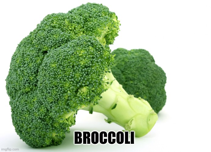 BROCCOLI | image tagged in broccoli | made w/ Imgflip meme maker