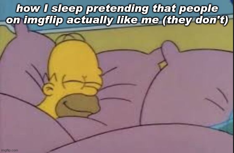 how i sleep homer simpson | how I sleep pretending that people on imgflip actually like me (they don't) | image tagged in how i sleep homer simpson | made w/ Imgflip meme maker