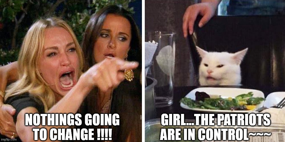 Smudge the cat | NOTHINGS GOING TO CHANGE !!!! GIRL...THE PATRIOTS ARE IN CONTROL~~~ | image tagged in smudge the cat | made w/ Imgflip meme maker