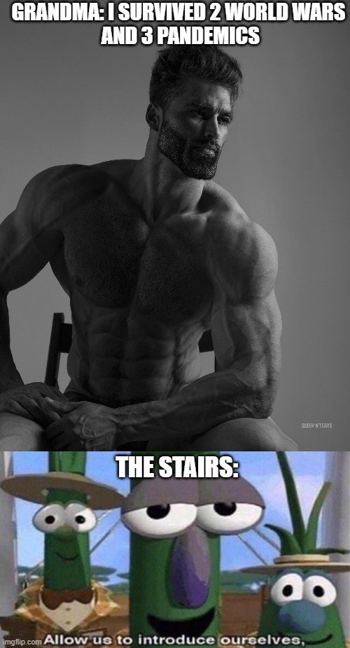 L |  GRANDMA: I SURVIVED 2 WORLD WARS
 AND 3 PANDEMICS; THE STAIRS: | image tagged in giga chad,veggietales 'allow us to introduce ourselfs',grandma | made w/ Imgflip meme maker
