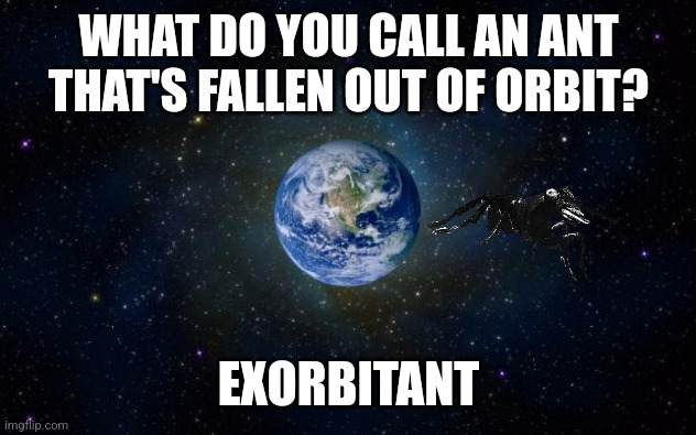 Ex-orbit ant | WHAT DO YOU CALL AN ANT THAT'S FALLEN OUT OF ORBIT? EXORBITANT | image tagged in planet earth from space,ants,space,orbit | made w/ Imgflip meme maker