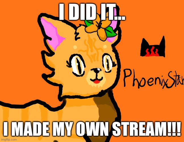 [First image on my stream] | I DID IT…; I MADE MY OWN STREAM!!! | made w/ Imgflip meme maker