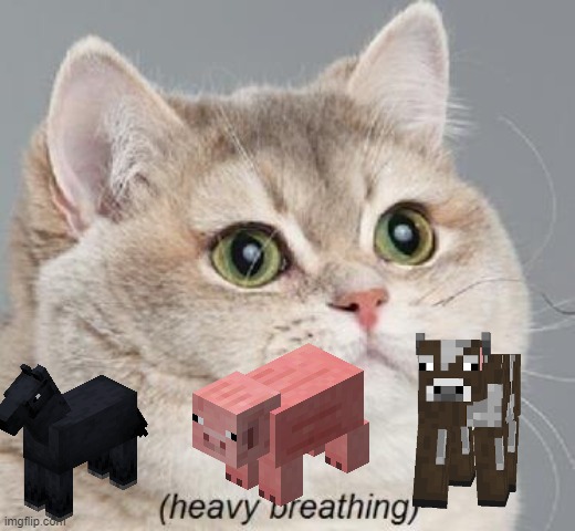 Heavy Breathing Cat Meme | image tagged in memes,heavy breathing cat | made w/ Imgflip meme maker