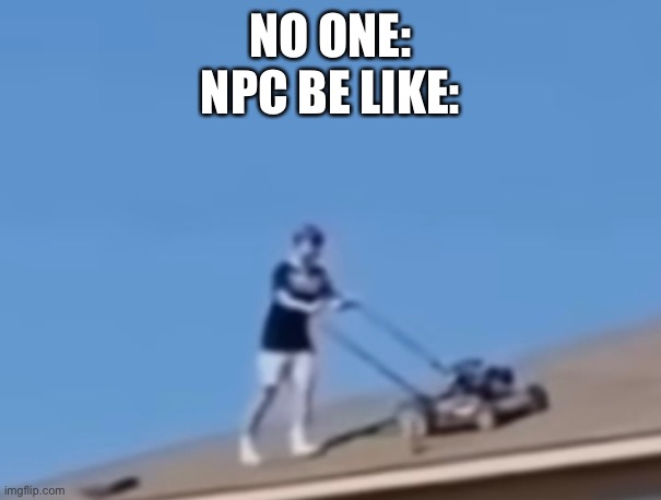 NO ONE:
NPC BE LIKE: | made w/ Imgflip meme maker