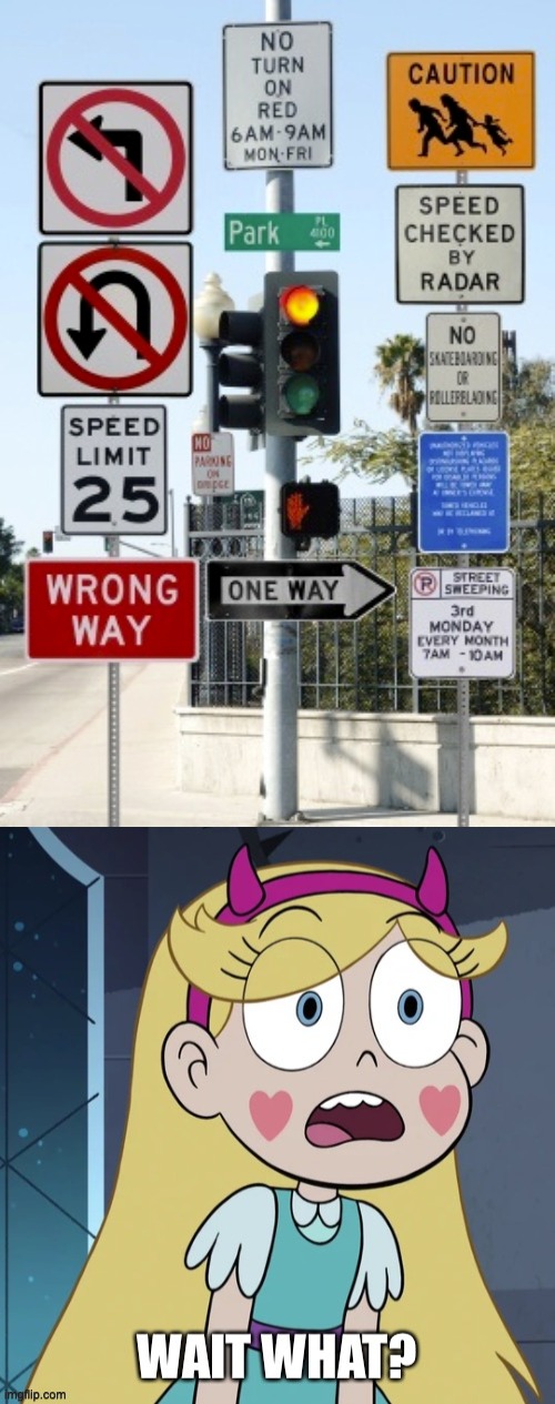 WHAT AM I SUPPOSED TO DO?!?!?! | image tagged in star butterfly wait what,star vs the forces of evil,you had one job,failure,memes,design fails | made w/ Imgflip meme maker