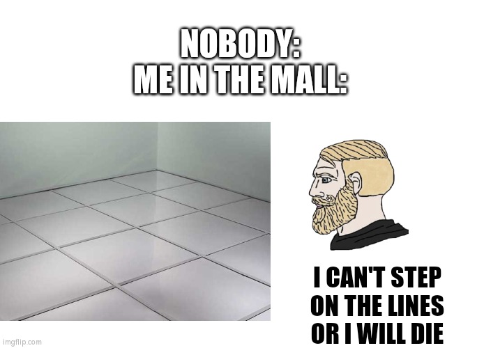 NOBODY:
ME IN THE MALL:; I CAN'T STEP ON THE LINES OR I WILL DIE | image tagged in memes,blank transparent square,blank white template,mall | made w/ Imgflip meme maker